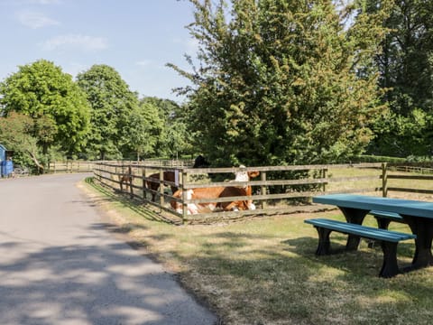 Cottage | Property grounds