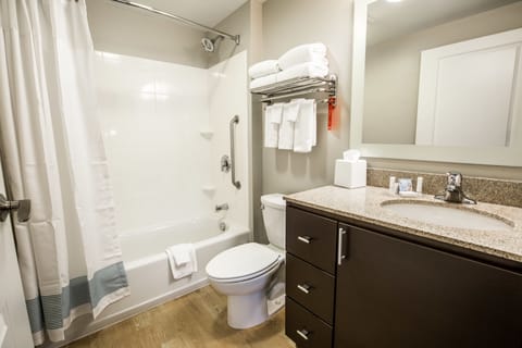 Combined shower/tub, free toiletries, hair dryer, towels