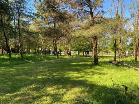 Cottage | Miscellaneous