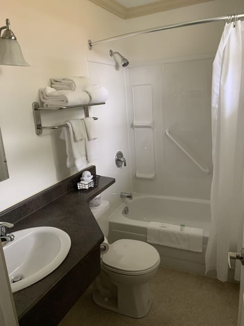 Room, 1 Queen Bed | Bathroom | Combined shower/tub, free toiletries, hair dryer, towels