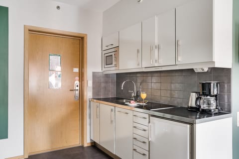 Large Studio | Private kitchen | Fridge, microwave, stovetop, dishwasher