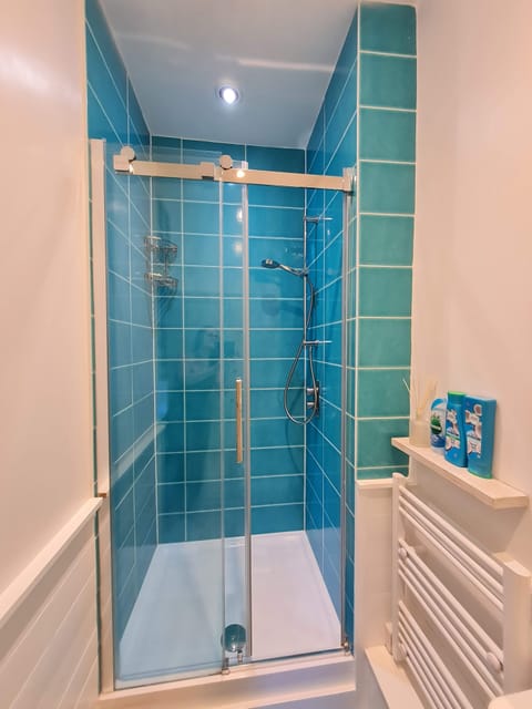 Large Double or Twin Room | Bathroom | Combined shower/tub, hair dryer, bathrobes, towels