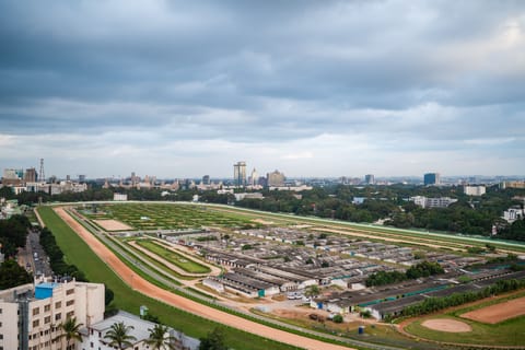 Executive Room, 1 King Bed, Non Smoking, Balcony | View from room