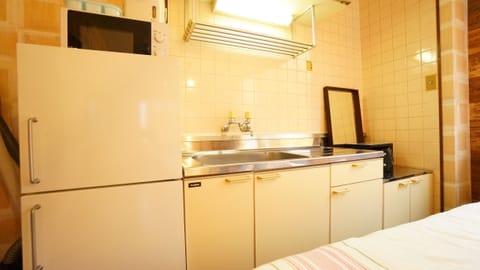 Basic Apartment, 3 Bedrooms | Private kitchenette | Fridge, microwave, stovetop, cookware/dishes/utensils