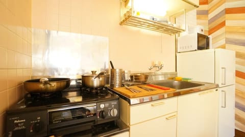 Basic Apartment, 1 Bedroom | Private kitchenette | Fridge, microwave, stovetop, cookware/dishes/utensils