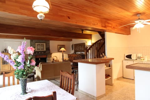 Family Apartment, 4 Bedrooms, Park View, Ground Floor | Private kitchen | Fridge, microwave, oven, stovetop