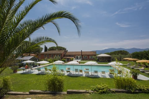 Seasonal outdoor pool, pool umbrellas, sun loungers