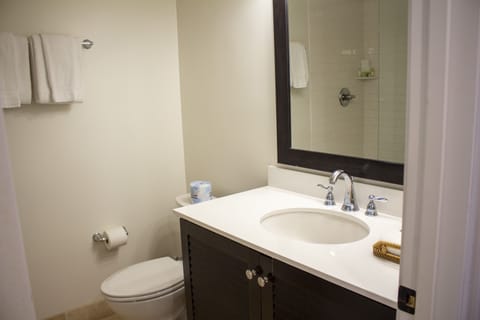 Combined shower/tub, free toiletries, hair dryer, towels