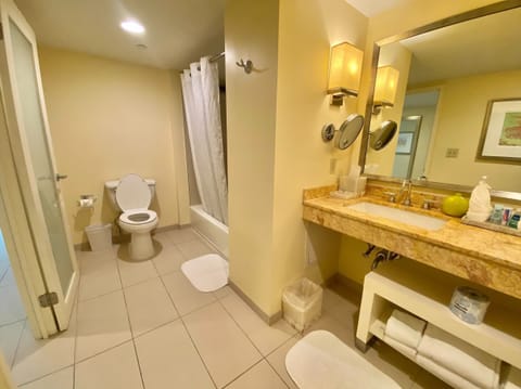 Suite (Bi Level) | Bathroom | Combined shower/tub, free toiletries, hair dryer, bathrobes