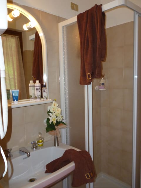 Shower, free toiletries, hair dryer, bidet