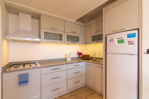 Standard Apartment No 3, 1 Bedroom, Balcony, Garden View | Private kitchenette | Fridge, stovetop, dishwasher, toaster