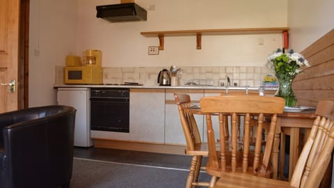 Family Apartment, Hill View (Anvil) | Private kitchen | Fridge, microwave, oven, stovetop