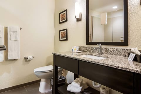 Suite, 1 King Bed, Non Smoking | Desk, laptop workspace, blackout drapes, iron/ironing board