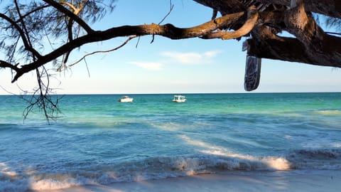 White sand, 4 beach bars