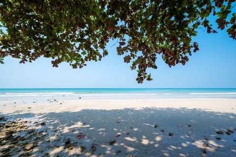 On the beach, white sand