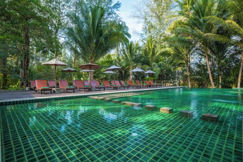 Outdoor pool, sun loungers