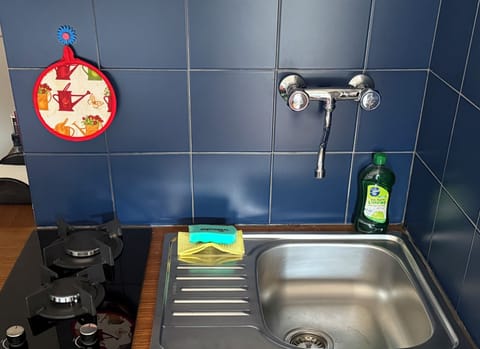 Classic Double or Twin Room, Kitchenette | Private kitchen | Shared fridge, paper towels