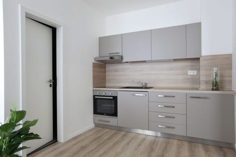 Apartment, 1 Bedroom | Private kitchen | Fridge, stovetop, electric kettle, toaster