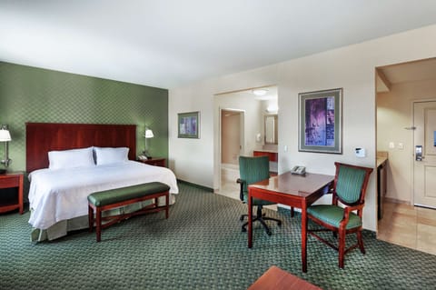 1 King Studio Suite w/ Sofabed | Down comforters, in-room safe, individually furnished, laptop workspace