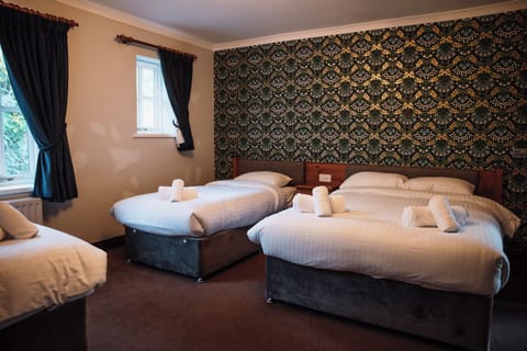 Family Room | Free WiFi