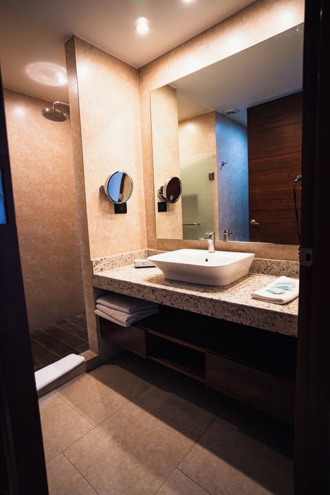 Suite de Lujo | Bathroom | Shower, free toiletries, hair dryer, towels
