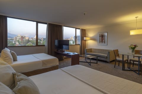  Standard Doble con vista a la cordillera | Minibar, in-room safe, desk, iron/ironing board