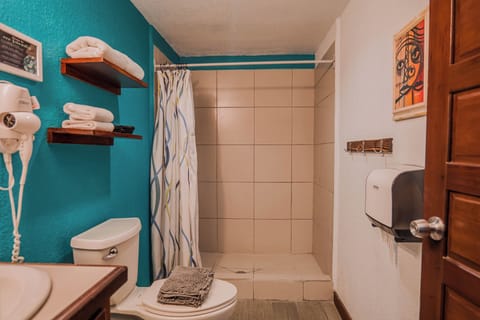 Family Room | Bathroom | Shower, hair dryer, towels