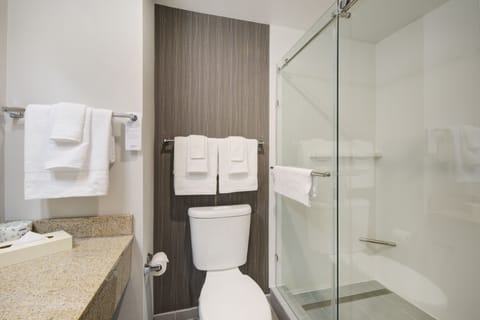 Room, 1 King Bed with Sofa bed | Bathroom | Combined shower/tub, hair dryer, towels