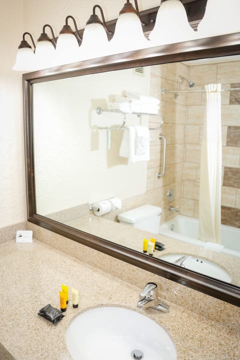 Combined shower/tub, free toiletries, hair dryer, towels