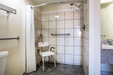 Room, 1 King Bed, Accessible, Non Smoking (Mobility/Hearing, Tub w/Grab Bars) | Bathroom shower