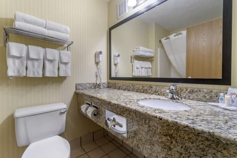 Combined shower/tub, free toiletries, hair dryer, towels