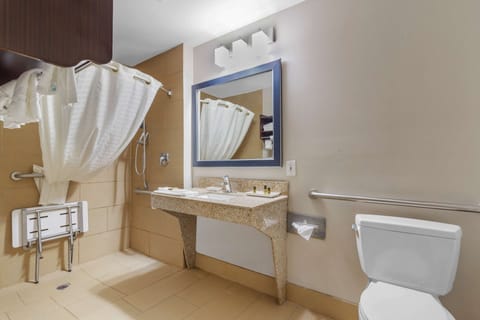 Suite, 1 King Bed, Accessible, Non Smoking | Bathroom | Combined shower/tub, free toiletries, hair dryer, towels