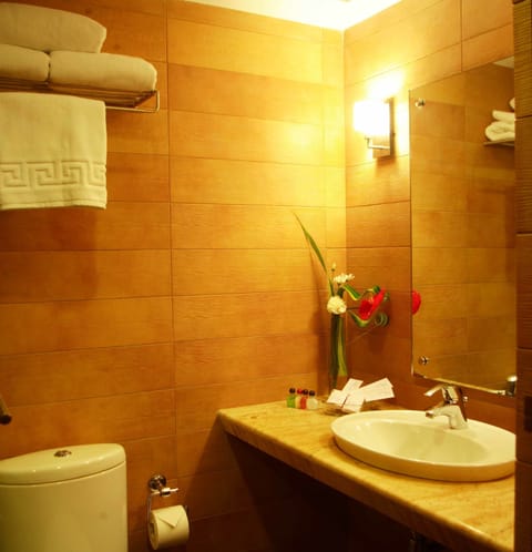 Standard Room | Bathroom | Combined shower/tub, spring water tub, free toiletries, hair dryer