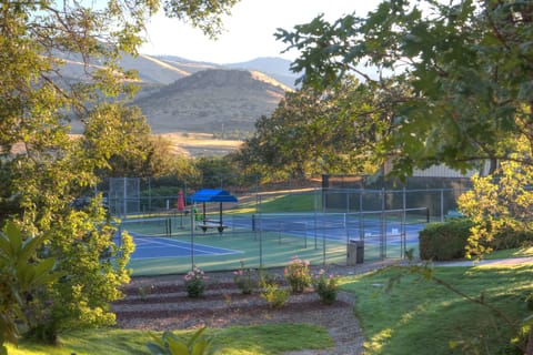 Tennis court