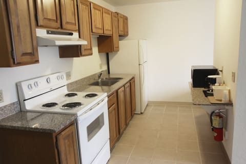 Classic Room, 1 King Bed, Kitchenette | Private kitchen | Full-size fridge, microwave, eco-friendly cleaning products