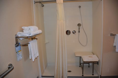 Standard Room, 1 King Bed, Accessible, Non Smoking | Bathroom | Free toiletries, hair dryer, towels, soap