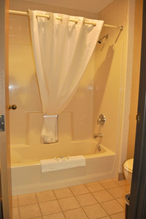 Standard Room, 1 King Bed, Non Smoking | Bathroom | Combined shower/tub, free toiletries, hair dryer, towels