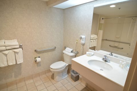 Combined shower/tub, deep soaking tub, free toiletries, hair dryer