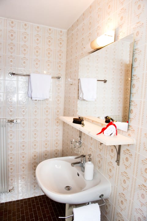 Single Room | Bathroom | Shower, free toiletries, hair dryer, towels