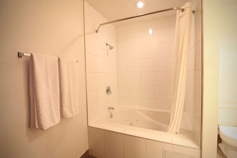 Combined shower/tub, free toiletries, hair dryer, towels