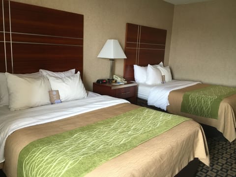 Standard Room, 2 Queen Beds | Premium bedding, desk, iron/ironing board, free WiFi