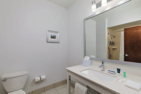 Combined shower/tub, free toiletries, hair dryer, towels