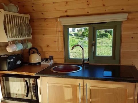Private kitchen | Fridge, microwave, coffee/tea maker, electric kettle