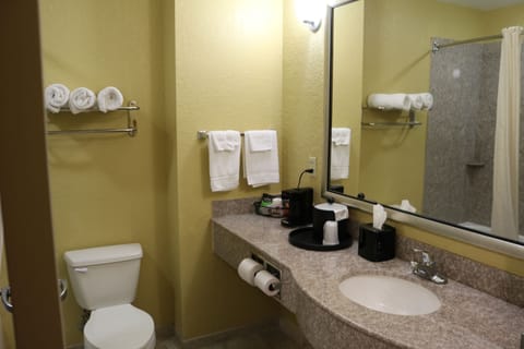 Combined shower/tub, deep soaking tub, free toiletries, hair dryer