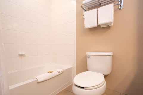 Combined shower/tub, free toiletries, hair dryer, towels