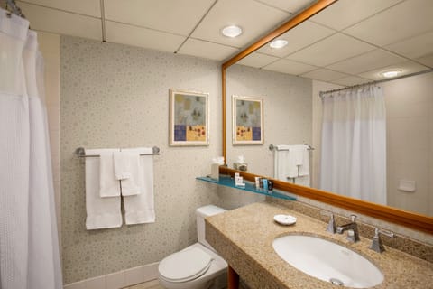 Combined shower/tub, free toiletries, hair dryer, towels