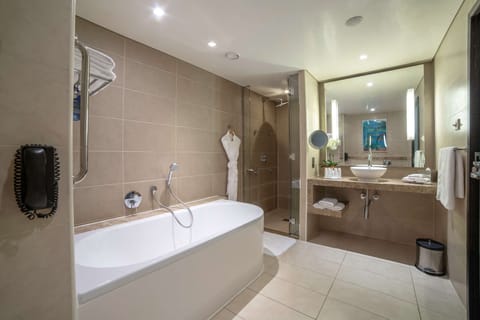 Combined shower/tub, free toiletries, hair dryer, bidet