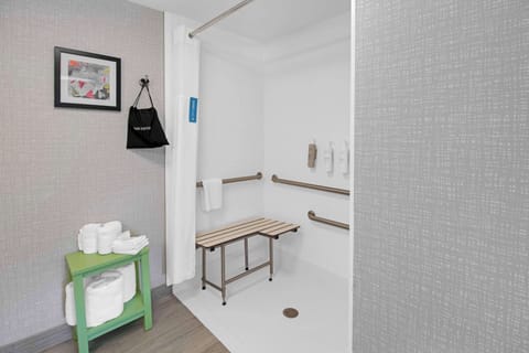 Suite, 1 King Bed, Accessible, Non Smoking | Bathroom shower