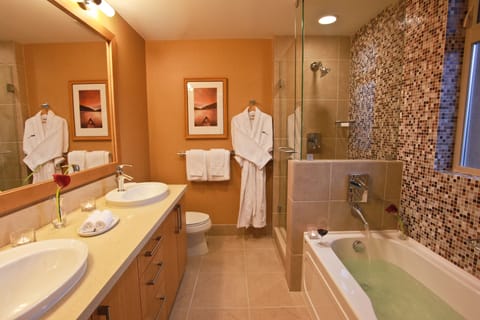 Combined shower/tub, designer toiletries, hair dryer, bathrobes