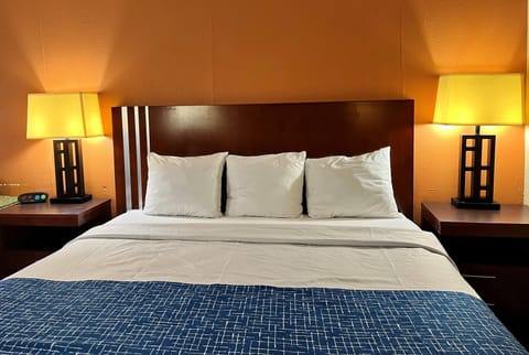 Standard Room, 1 King Bed | Desk, laptop workspace, blackout drapes, iron/ironing board